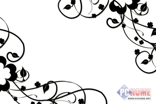 光影魔术手 撕边边框 爱情四叶草图片